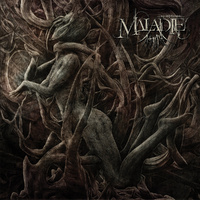 Maladie Symptoms CD