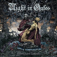Night In Gales Dawnlight Garden CD Digipak