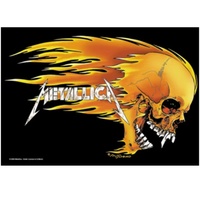 Metallica Flame Skull Poster Flag