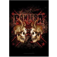 Pantera Double Skull Fabric Poster Flag