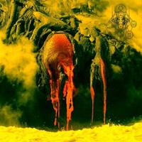 Nekrasov Lust Of Conciousness CD