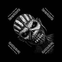 Iron Maiden Book Of Souls Bandana