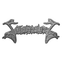 Shining Logo Metal Pin Badge