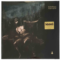 Behemoth I Loved You At Your Darkest 2 LP Vinyl Record