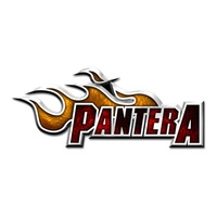 Pantera Flame Logo Metal Pin Badge