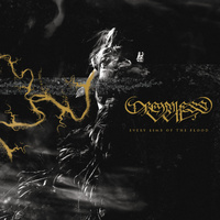 Dreamless Veil Every Limb Of The Flood CD