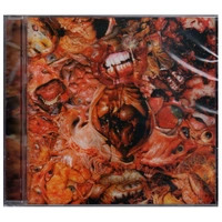 FesterDecay From Demo To Rot CD