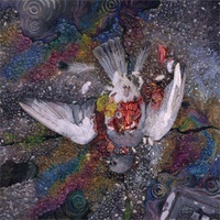 Pyrrhon Exhaust CD Digipak