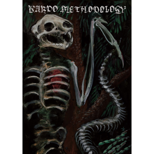 Bardo Methodology Magazine Issue 4