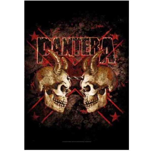 Pantera Double Skull Fabric Poster Flag