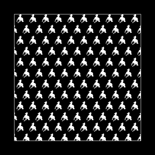 Deftones White Pony Bandana