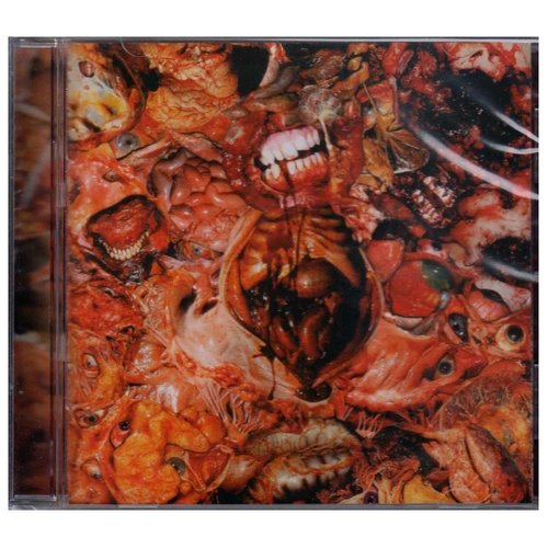 FesterDecay From Demo To Rot CD