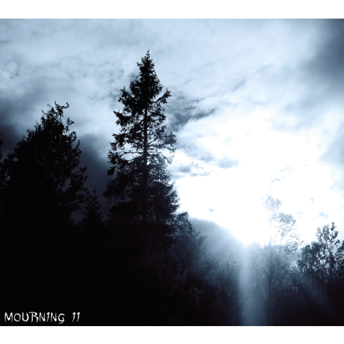 Lost In Desolation - Mourning II CD